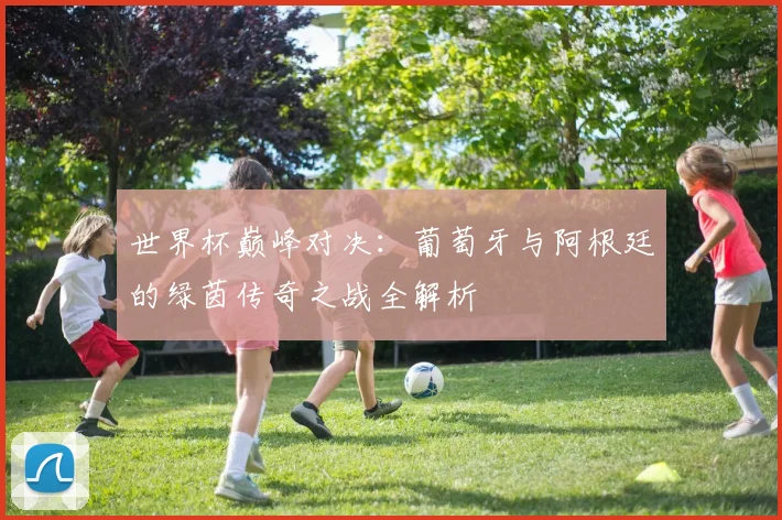 世界杯巅峰对决:葡萄牙与阿根廷的绿茵传奇之战全解析