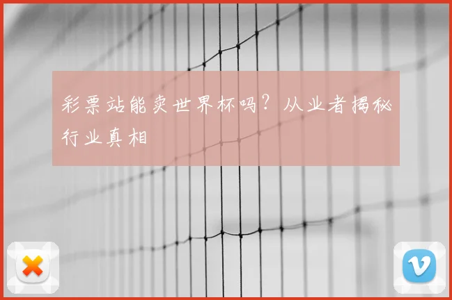 彩票站能卖世界杯吗？从业者揭秘行业真相