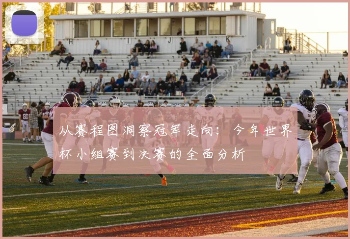 从赛程图洞察冠军走向:今年世界杯小组赛到决赛的全面分析