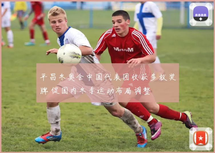 平昌冬奥会中国代表团收获多枚奖牌 促国内冬季运动布局调整